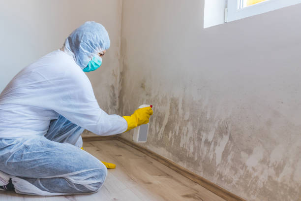 Mold inspector in New Church performing thermal imaging