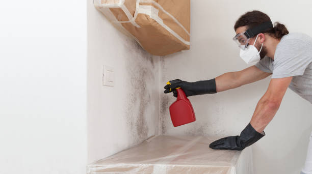Basement Mold Remediation treatment on basement walls in New Church