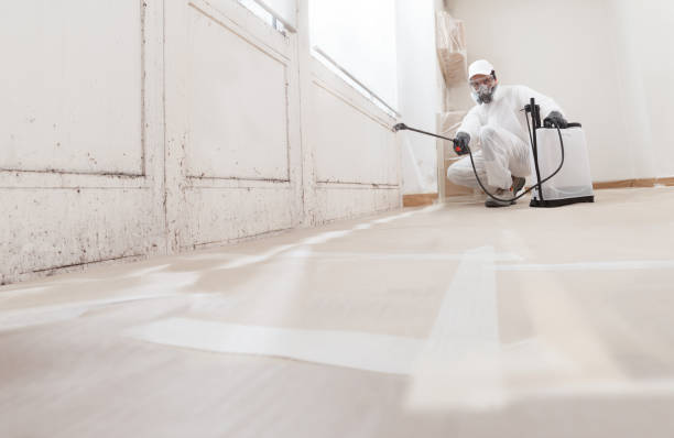 Post-remediation clearance in New Church