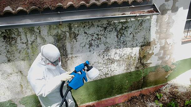 Mold Remediation service in New Church, New Church, VA